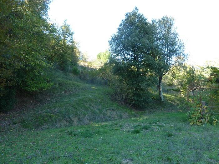 immagine annuncio 6 di 9