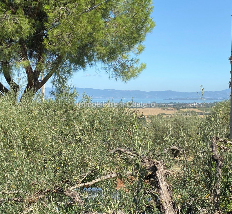immagine annuncio 3 di 6