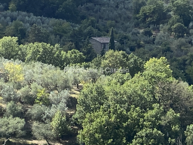 immagine annuncio 2 di 6