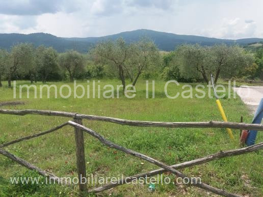 immagine annuncio 2 di 7