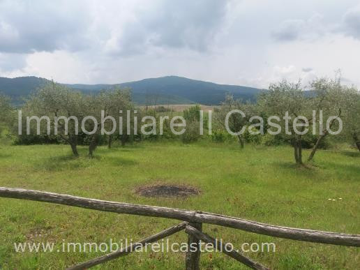 immagine annuncio 4 di 7