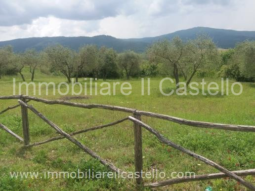 immagine annuncio 3 di 7
