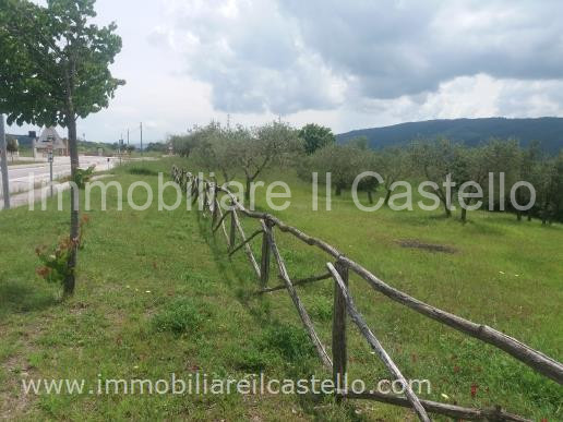 immagine annuncio 5 di 7