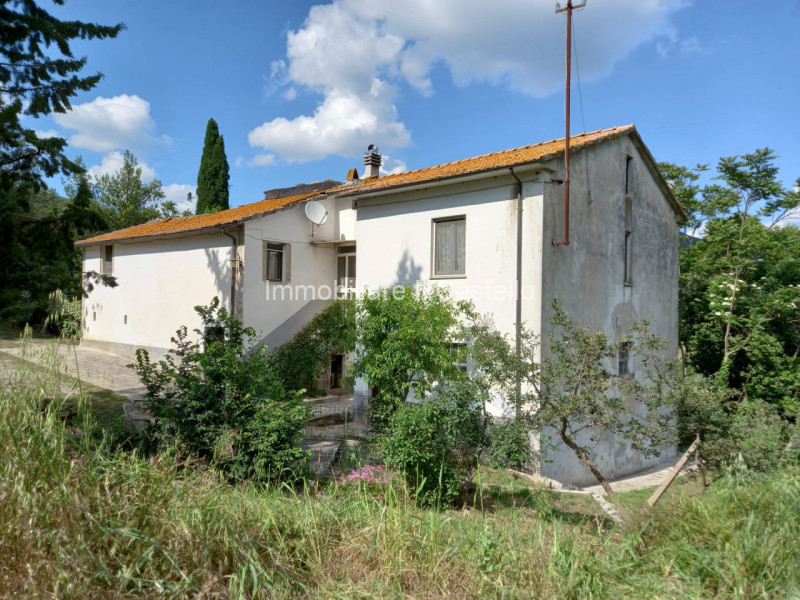 immagine annuncio 1 di 10