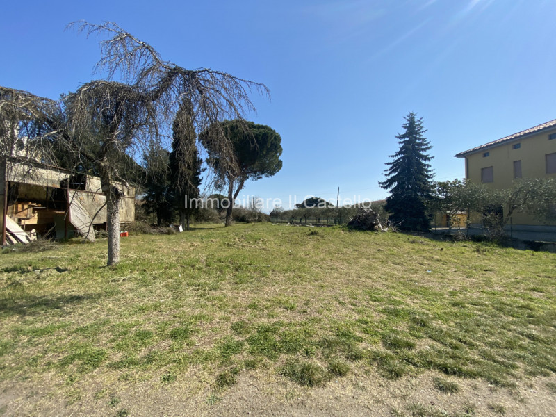 immagine annuncio 4 di 7