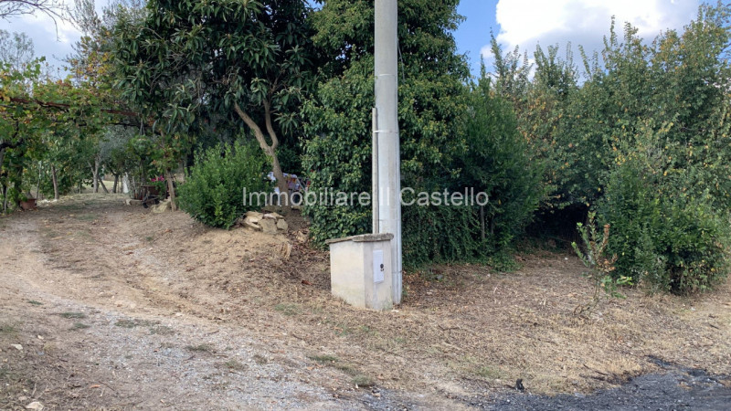 immagine annuncio 4 di 6