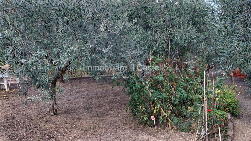 immagine annuncio 3 di 6
