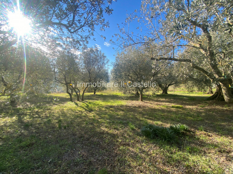 immagine annuncio 1 di 7
