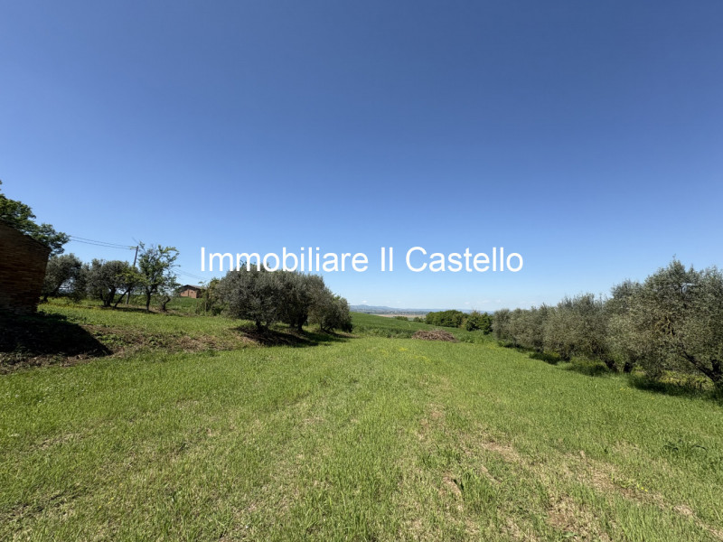 immagine annuncio 7 di 10
