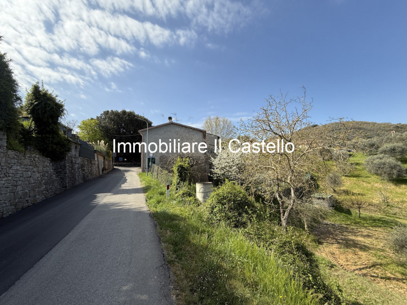 immagine annuncio 6 di 9