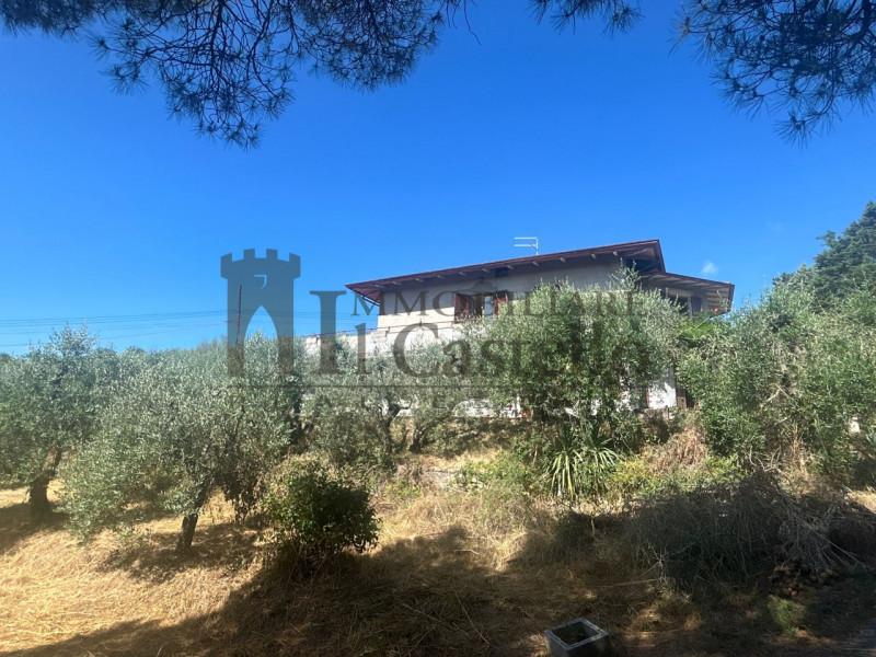 immagine annuncio 9 di 10