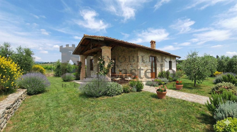 immagine annuncio 3 di 6