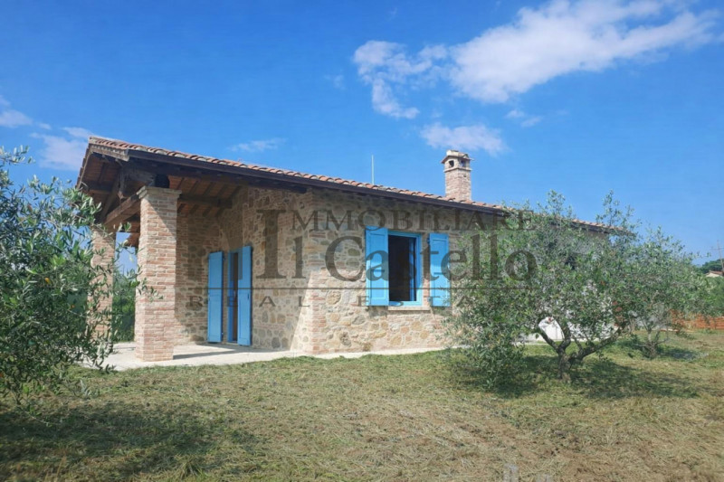 immagine annuncio 5 di 6