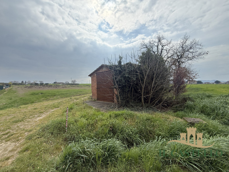 immagine annuncio 2 di 4