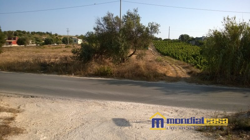 immagine annuncio 1 di 2