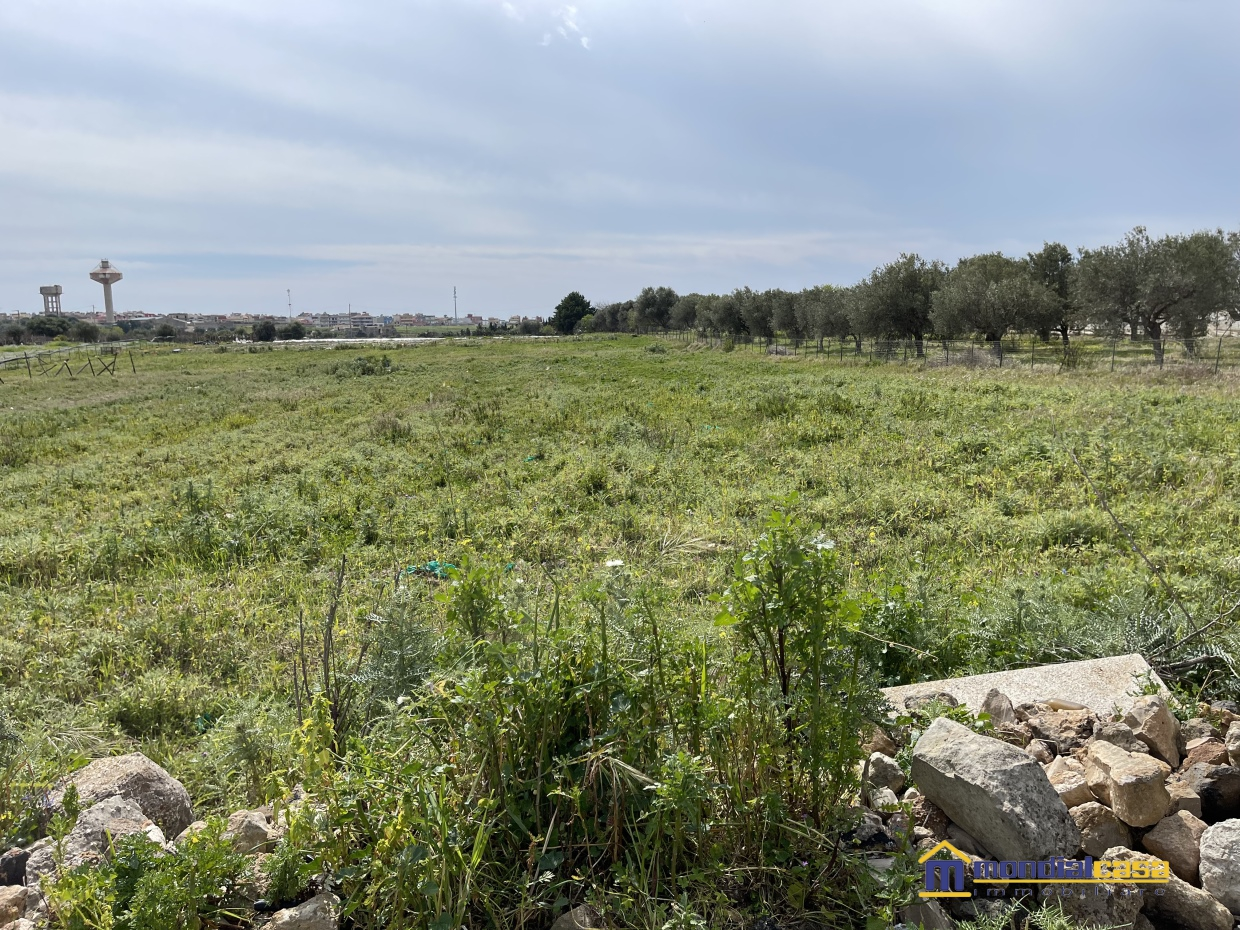 terreno agricolo in vendita a Pachino
