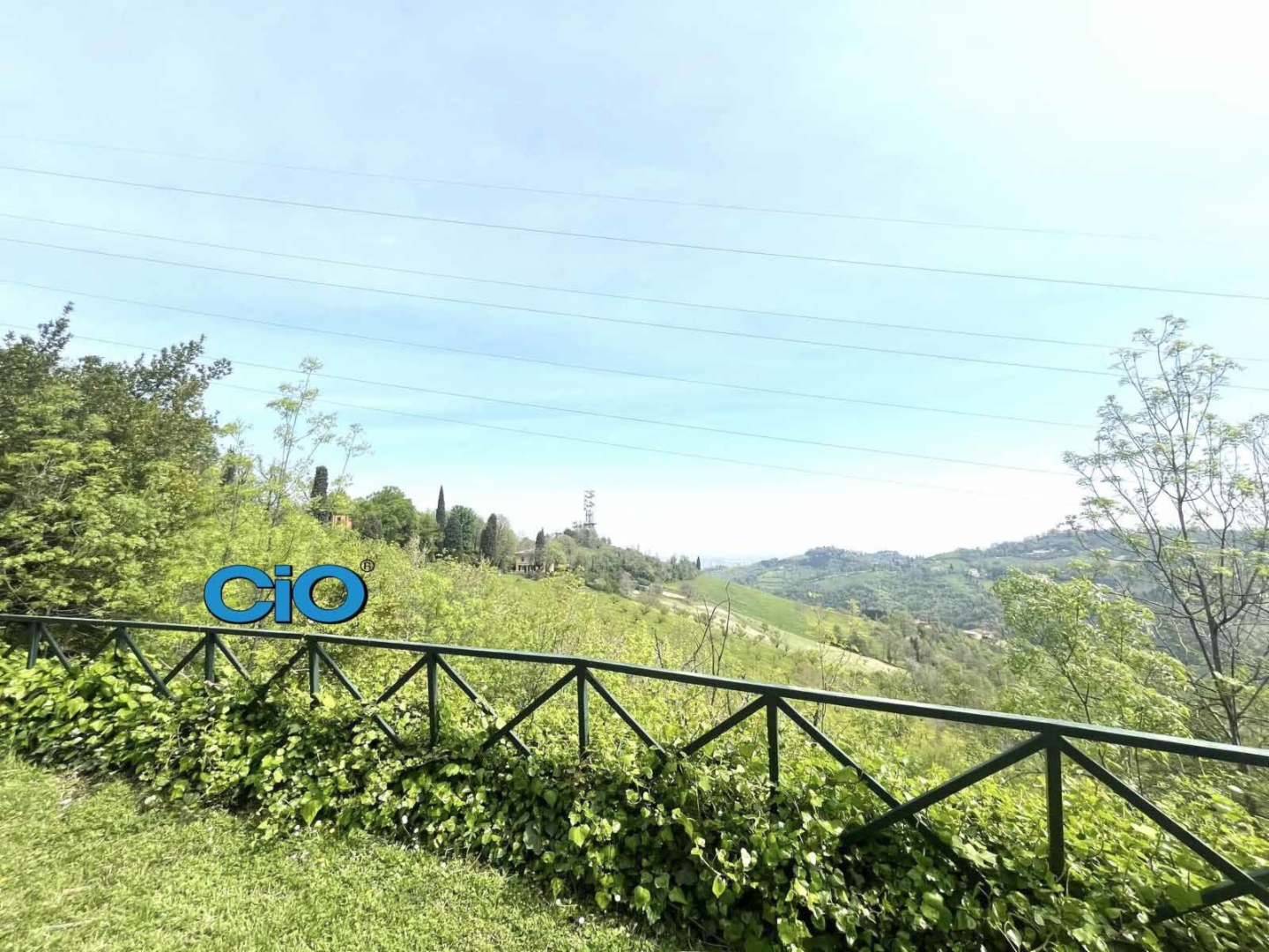 immagine annuncio 6 di 8