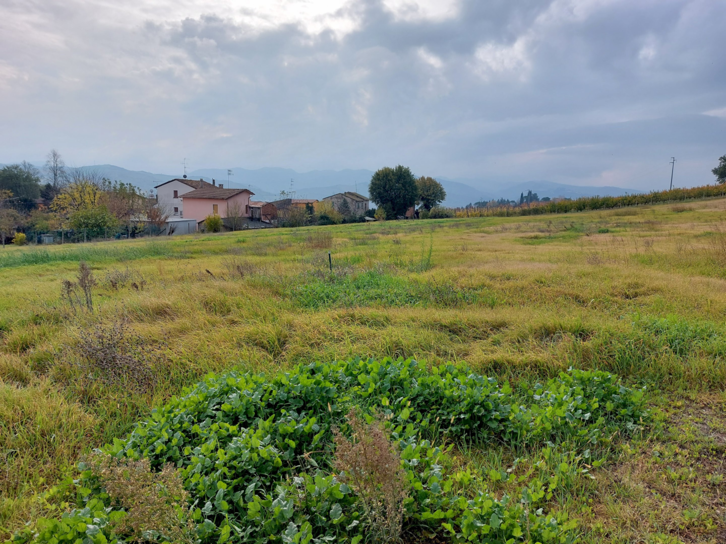 immagine annuncio 2 di 7