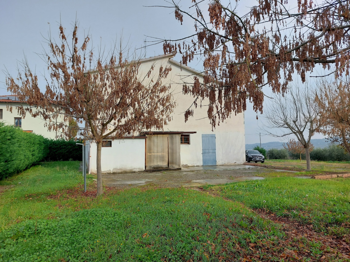 immagine annuncio 5 di 7