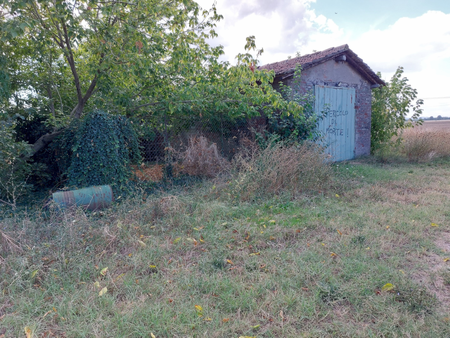 immagine annuncio 7 di 8