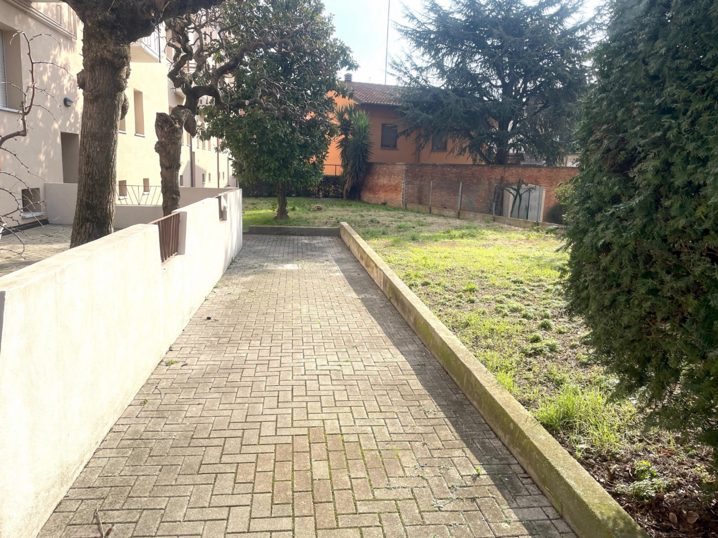 immagine annuncio 5 di 6