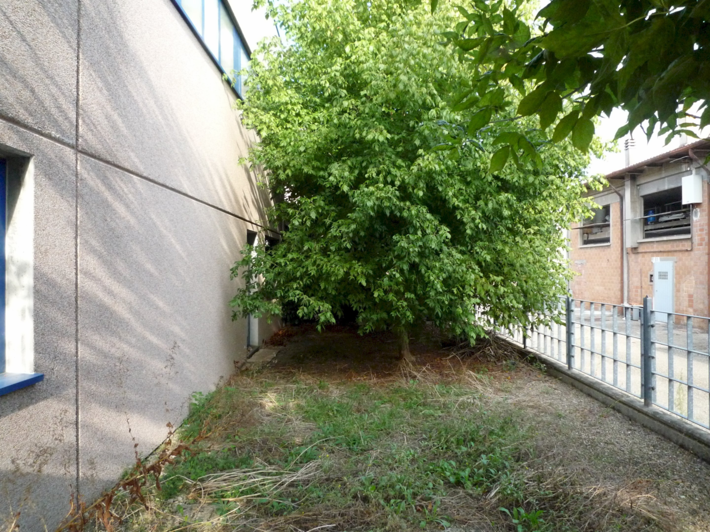 immagine annuncio 4 di 7
