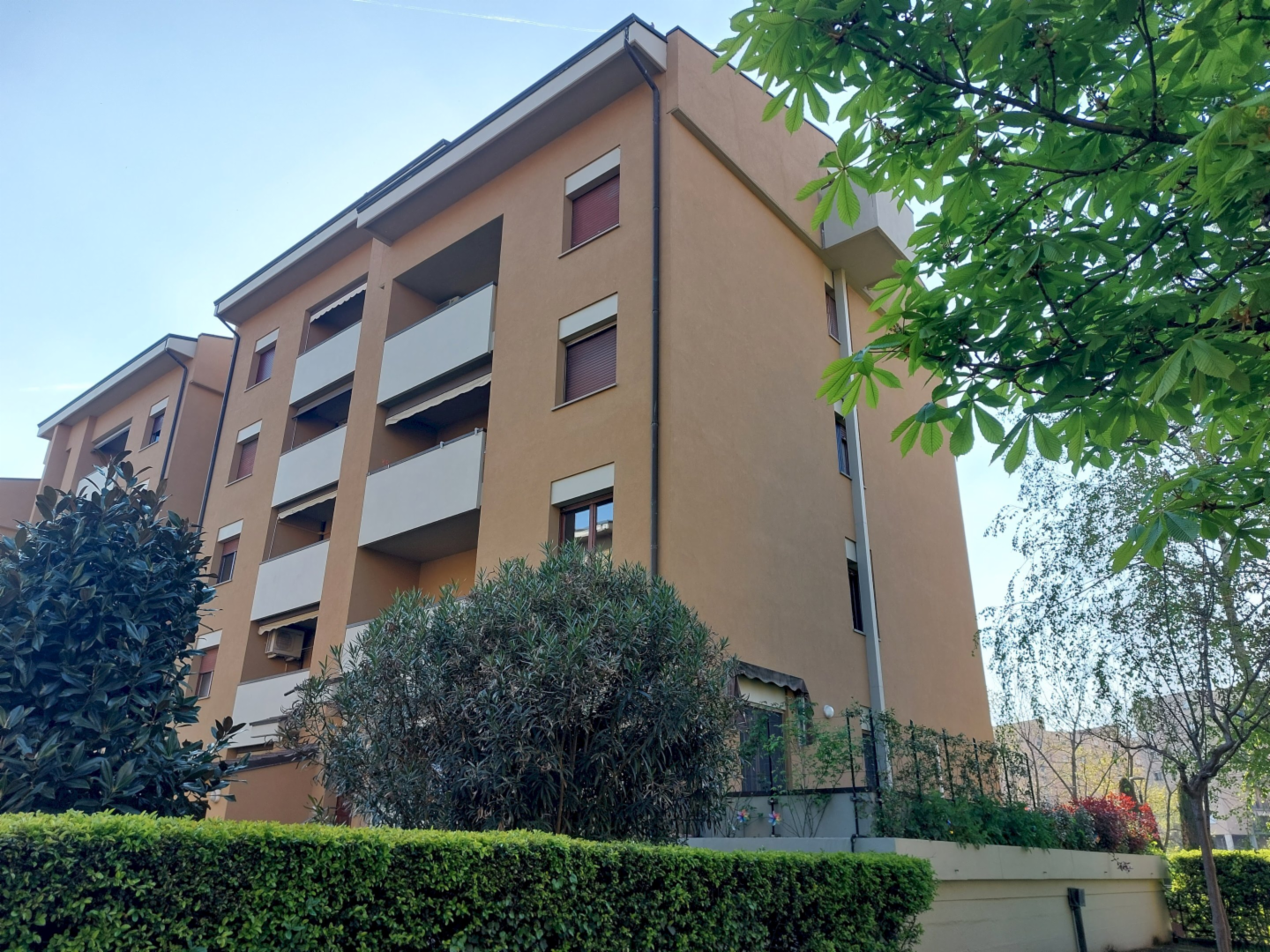 immagine annuncio 1 di 10