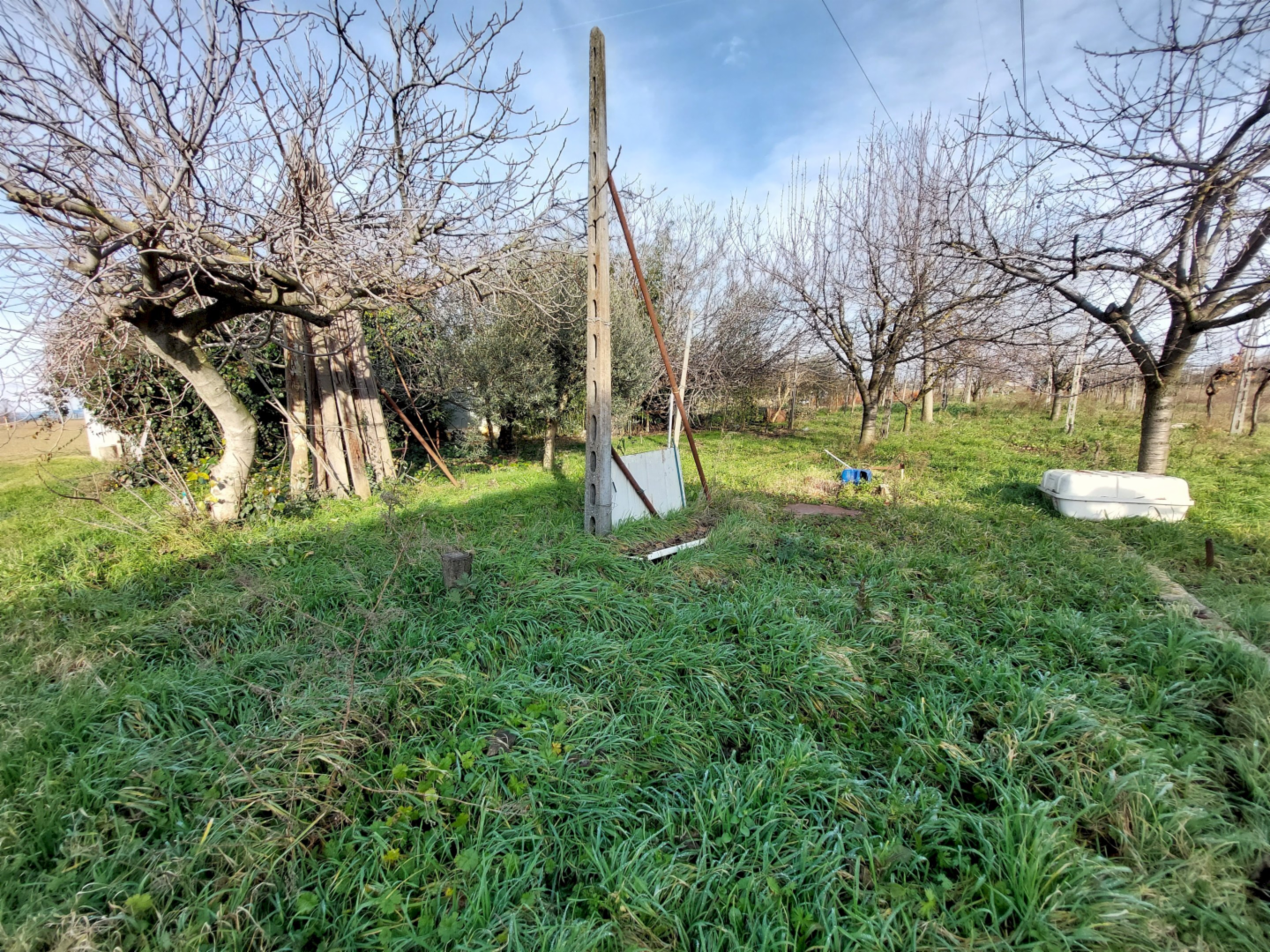 immagine annuncio 5 di 6
