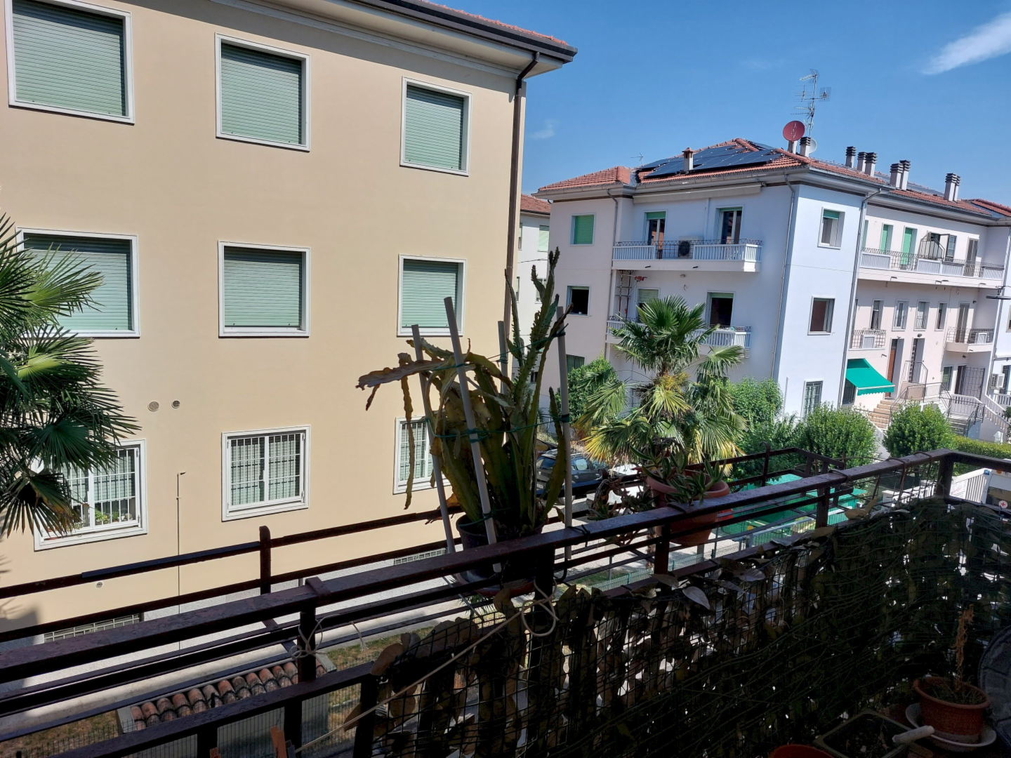 immagine annuncio 3 di 6