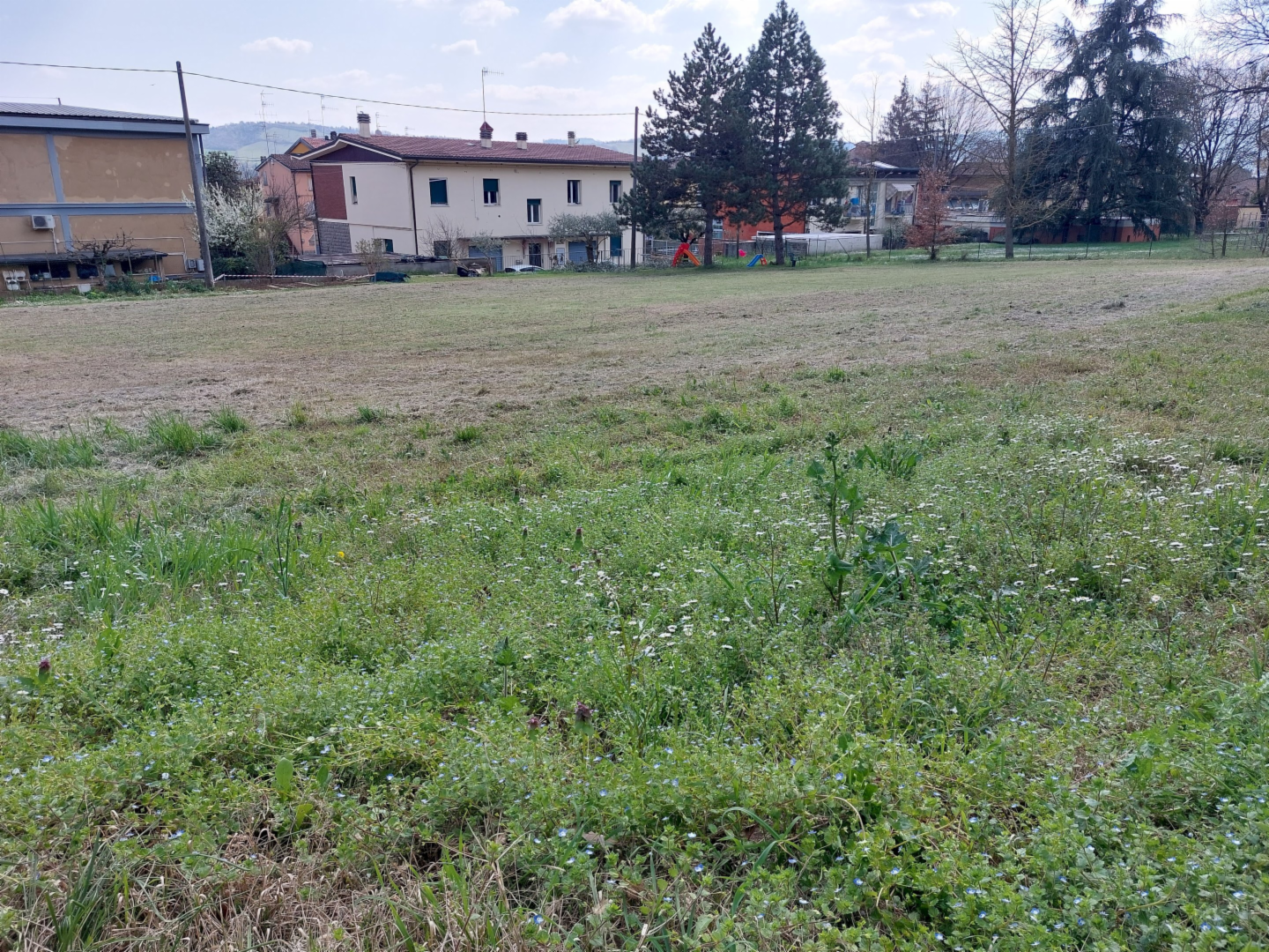 immagine annuncio 2 di 4