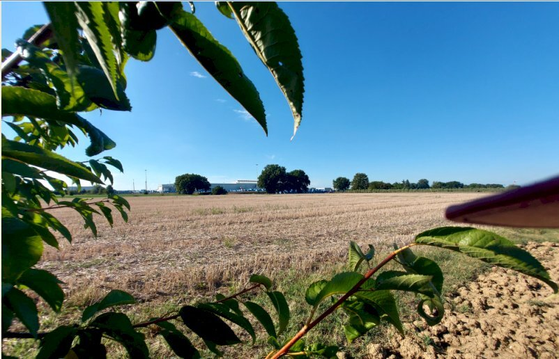 immagine annuncio 1 di 3