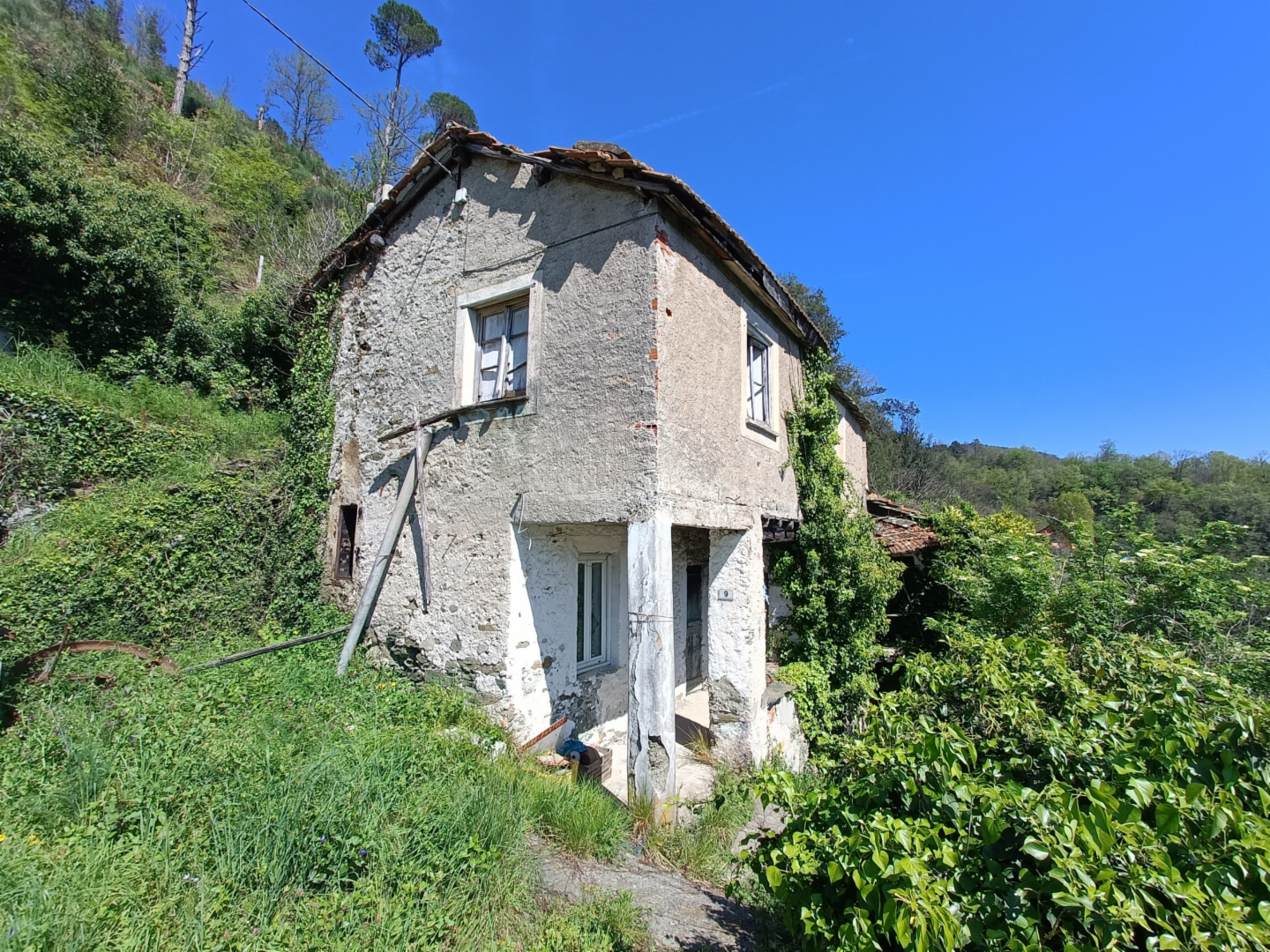 immagine annuncio 1 di 10