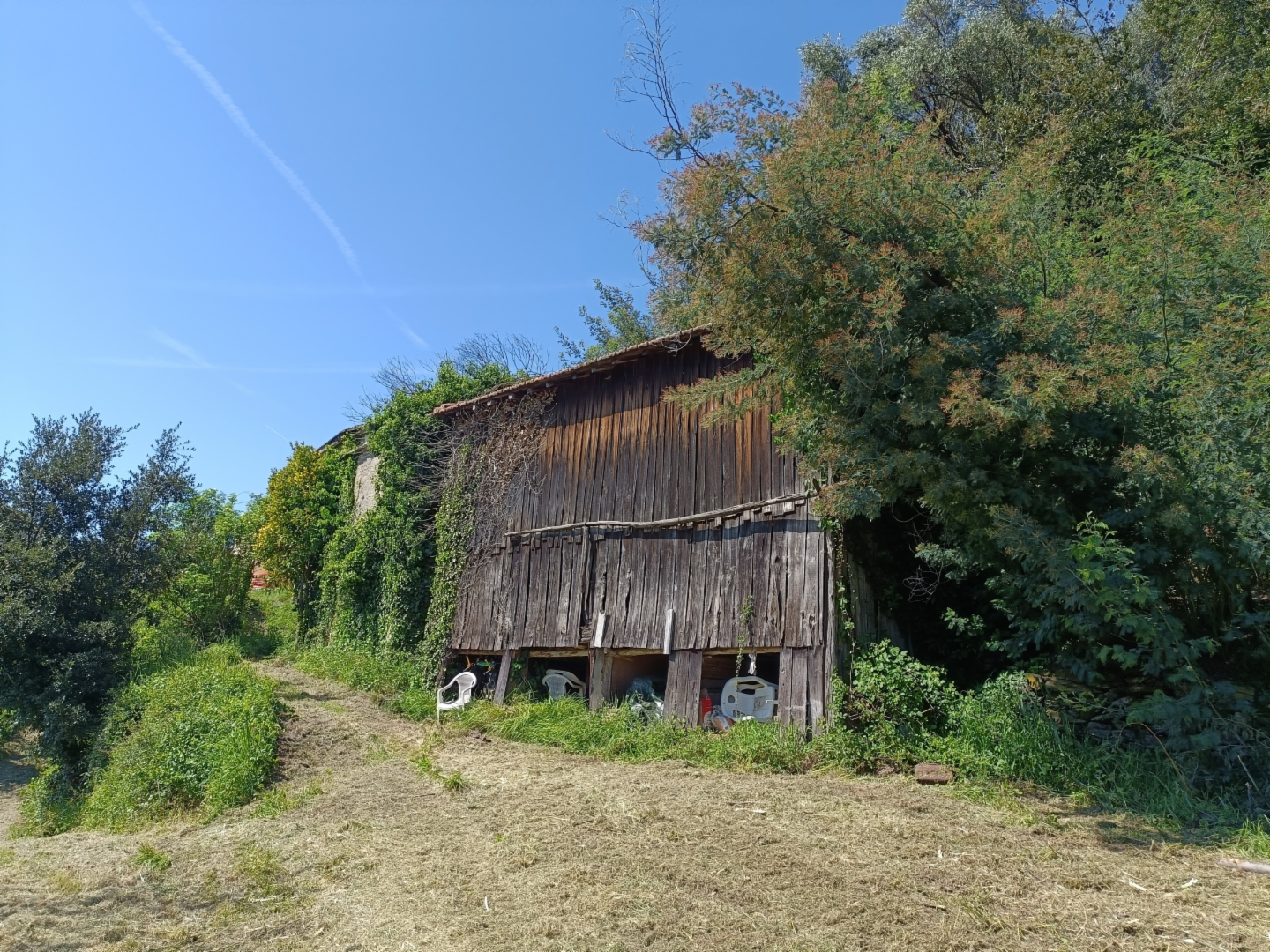 immagine annuncio 5 di 10