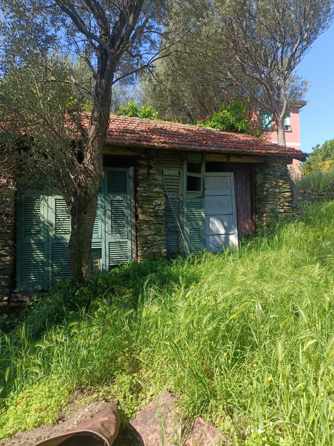 immagine annuncio 5 di 10