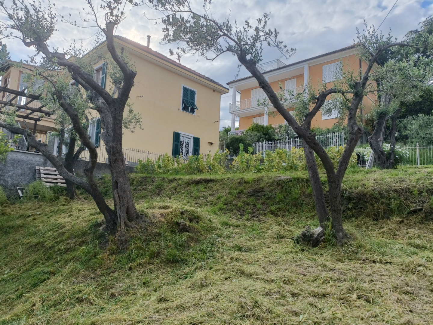 immagine annuncio 1 di 10