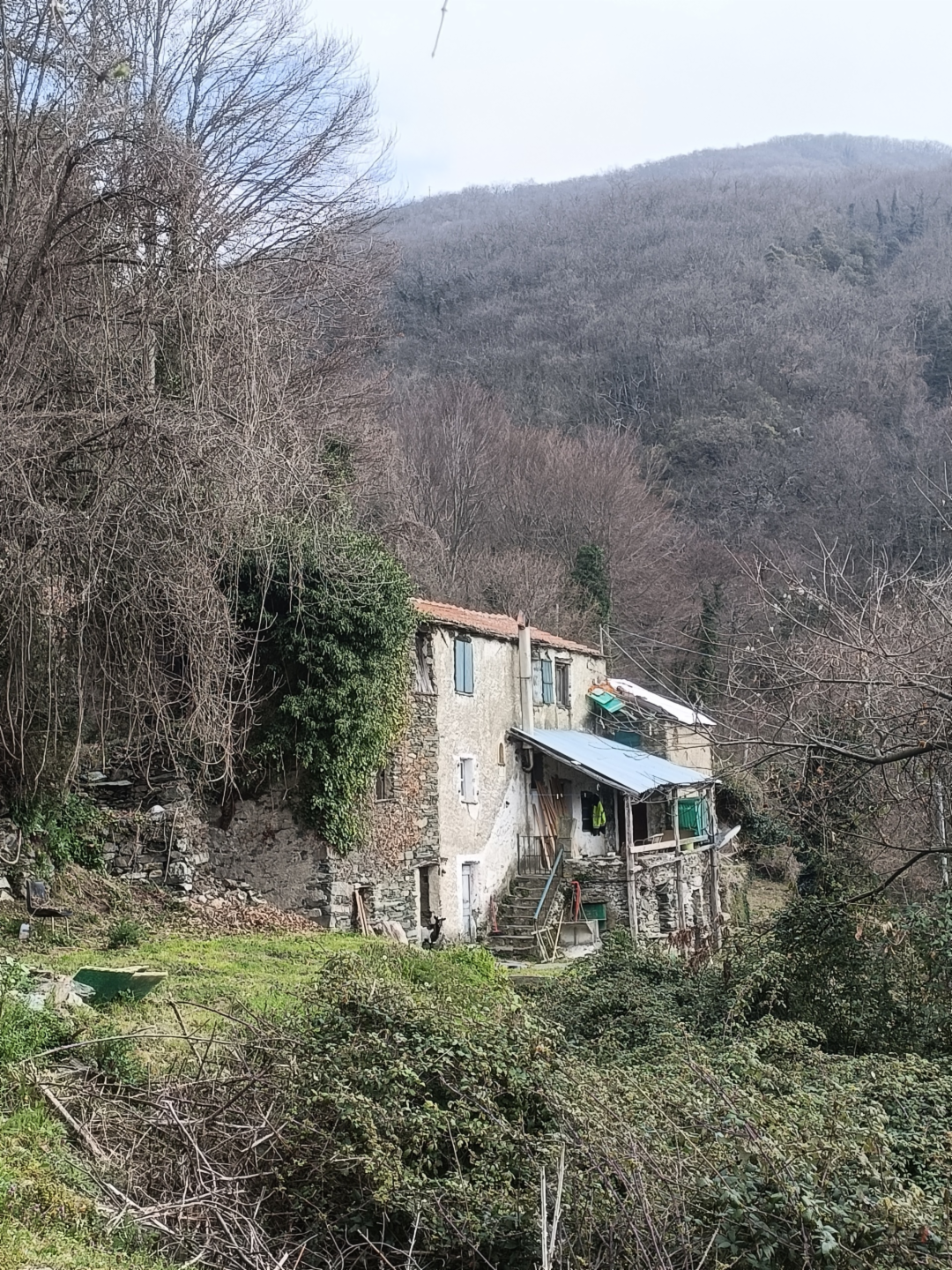 immagine annuncio 2 di 10