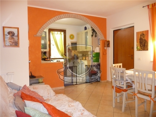 immagine annuncio 2 di 9