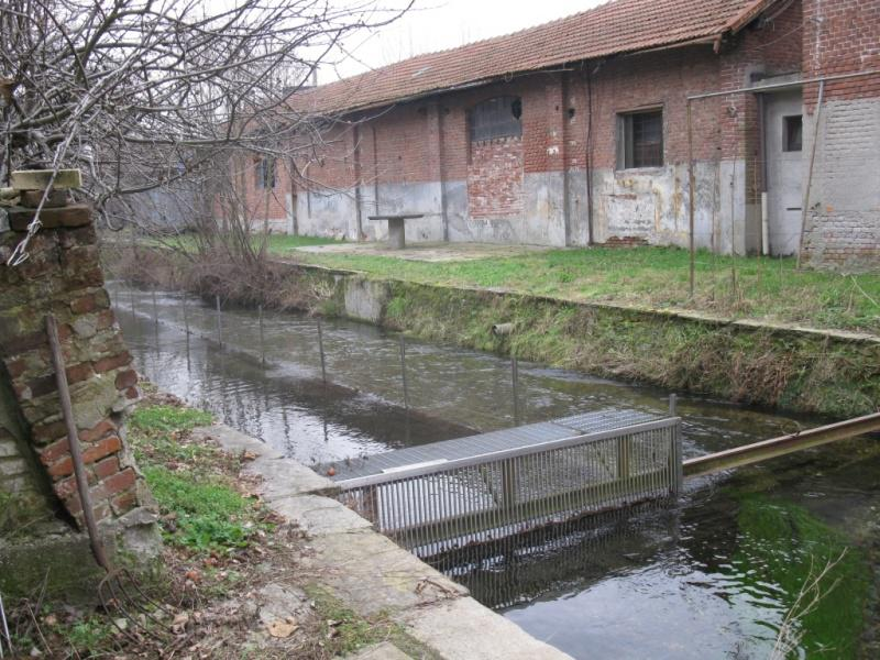 immagine annuncio 4 di 10