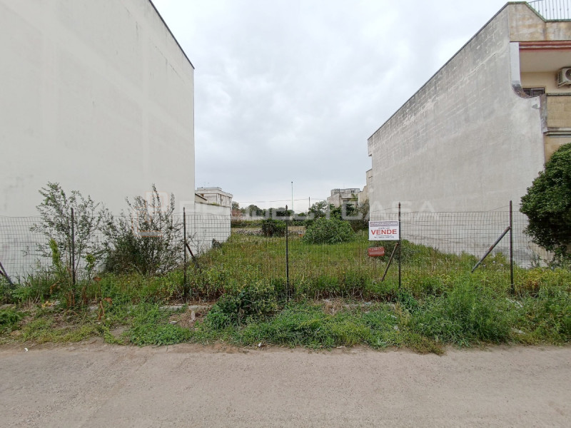 immagine annuncio 1 di 3