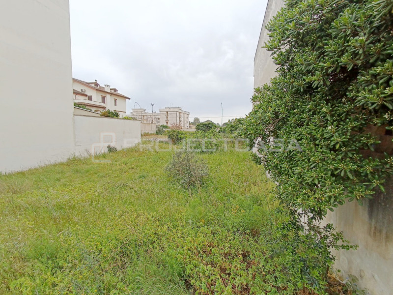 immagine annuncio 2 di 3