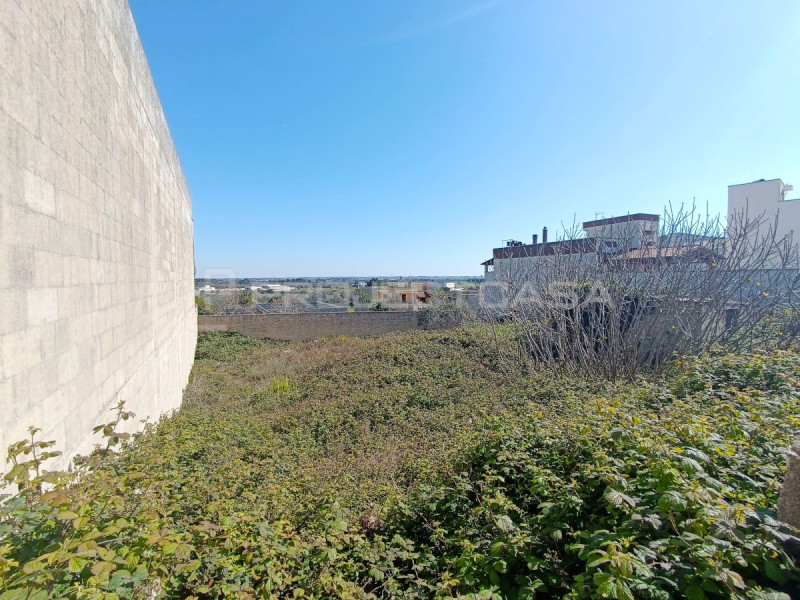 immagine annuncio 1 di 4