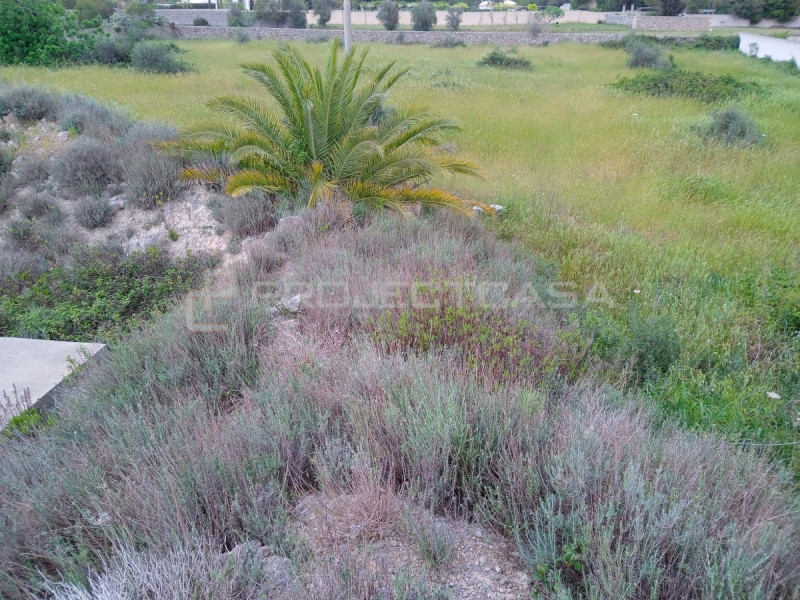 immagine annuncio 8 di 9