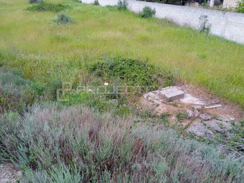 immagine annuncio 7 di 9