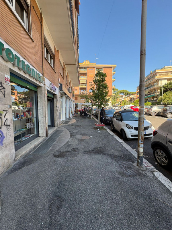immagine annuncio 2 di 7