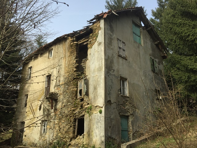 immagine annuncio 1 di 3