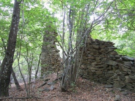 immagine annuncio 2 di 8