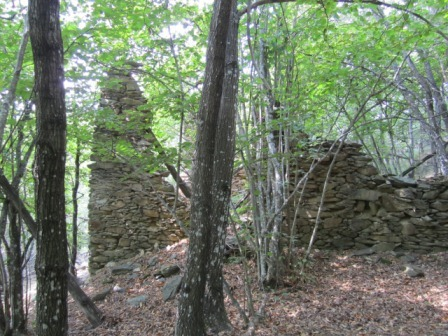 immagine annuncio 3 di 8