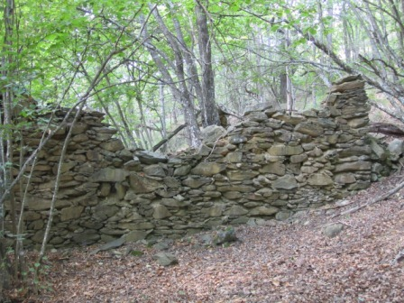 immagine annuncio 4 di 8