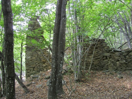 immagine annuncio 5 di 8