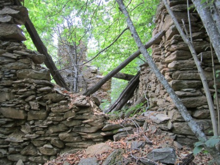 immagine annuncio 6 di 8